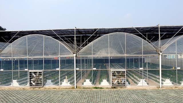 11月5日PA6市场早间提示